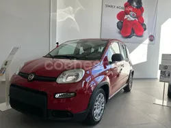 Granate Nuevo 2025 Fiat Panda Utilitario | 16.750 € (Un poco caro)