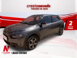 Gris Usado 2019 Citroën C4 Cactus Feel Utilitario | 13.074 € (Precio justo)