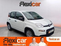 Blanco Usado 2023 Fiat Panda Utilitario | 12.490 € (Un poco caro)