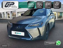 Gris Usado 2020 Lexus UX 300e Business Edition SUV | 25.295 € (Super precio)