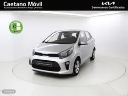 Usado 2024 Kia Picanto Utilitario | 14.490 € (Caro)