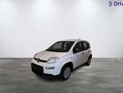 Blanco Nuevo 2025 Fiat Panda Utilitario | 11.950 € (Super precio)