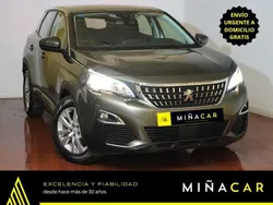 Gris Usado 2020 Peugeot 3008 Active SUV | 13.005 € (Buen precio)