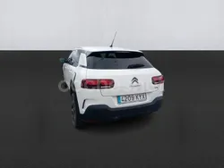 Blanco Usado 2019 Citroën C4 Cactus Feel Utilitario | 9999 € (Buen precio)
