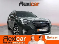 Verde Usado 2023 Subaru Forester SUV | 27.990 € (Precio justo)