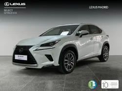 Blanco Usado 2020 Lexus NX300h Executive Line SUV | 29.990 € (Precio justo)