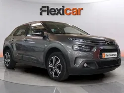 Gris Usado 2019 Citroën C4 Cactus Feel Utilitario | 11.290 € (Precio justo)