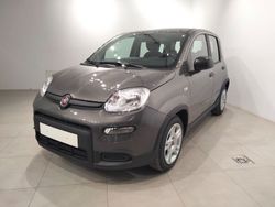 Gris Usado 2024 Fiat Panda Utilitario | 16.460 € (Caro)