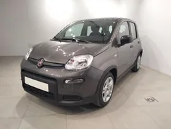 Gris Nuevo 2024 Fiat Panda Utilitario | 16.460 € (Precio justo)