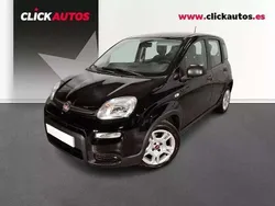 Negro Usado 2024 Fiat Panda Utilitario | 12.050 € (Precio justo)