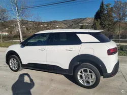 Blanco Usado 2019 Citroën C4 Cactus Feel Utilitario | 14.500 € (Un poco caro)