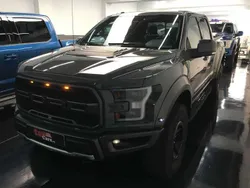 Gris Usado 2018 Ford F-150 Raptor Recogida | 83.500 €