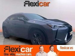 Gris Usado 2019 Lexus UX 250h Business Edition SUV | 21.790 € (Super precio)