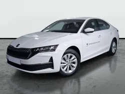 Blanco candy Usado 2024 Skoda Octavia Selection Berlina | 23.990 € (Precio justo)