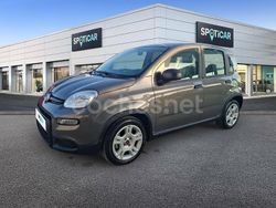 Gris / plata Usado 2023 Fiat Panda Cross Cross Utilitario | 14.500 € (Un poco caro)
