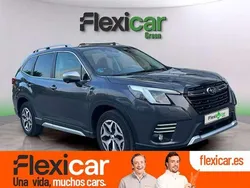 Gris Usado 2023 Subaru Forester SUV | 24.990 € (Super precio)