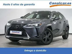 Gris Usado 2023 Lexus UX 250h Business Edition SUV | 32.840 € (Un poco caro)