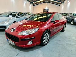 Granate Usado 2005 Peugeot 407 Berlina | 3500 € (Un poco caro)