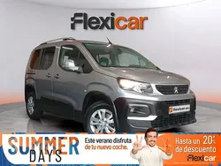 Gris Usado 2019 Peugeot Rifter Active Monovolumen | 19.990 € (Un poco caro)