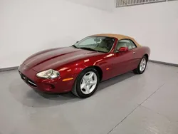 Burdeos Usado 1999 Jaguar XK8 Descapotable | 18.700 €