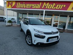 Blanco Usado 2019 Citroën C4 Cactus Feel Utilitario | 13.890 € (Caro)