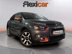 Gris Usado 2019 Citroën C4 Cactus Shine Utilitario | 10.590 € (Precio justo)