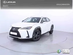 Blanco Nuevo 2025 Lexus UX SUV | 38.700 € (Un poco caro)