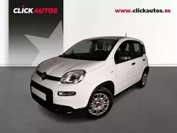 Blanco Usado 2024 Fiat Panda Utilitario | 12.000 € (Precio justo)