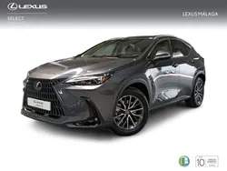 Gris Nuevo 2025 Lexus NX450h+ Executive Line SUV | 55.900 € (Super precio)
