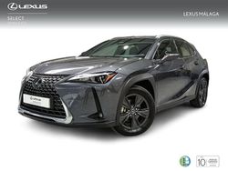 Gris Nuevo 2024 Lexus UX SUV | 35.900 € (Precio justo)