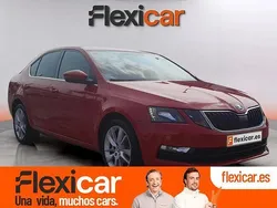 Rojo Usado 2017 Skoda Octavia Ambition Berlina | 15.990 € (Caro)