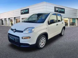Blanco Usado 2023 Fiat Panda Utilitario | 12.600 € (Precio justo)