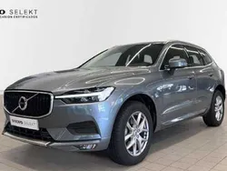 Gris Usado 2021 Volvo XC60 Momentum SUV | 32.500 € (Precio justo)
