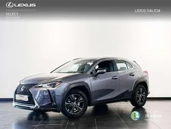 Gris Usado 2021 Lexus UX 250h Business Edition SUV | 25.800 € (Precio justo)