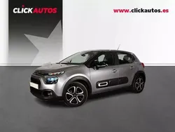 Gris Usado 2024 Citroën C3 Utilitario | 16.100 € (Un poco caro)