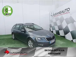 Gris / plata Usado 2019 Skoda Octavia Active Familiar | 13.990 € (Precio justo)