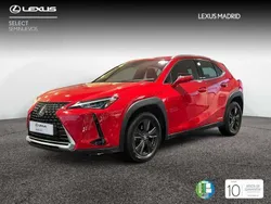 Rojo Usado 2021 Lexus UX 250h Business Edition SUV | 26.990 € (Un poco caro)