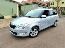 Gris / plata Usado 2013 Skoda Fabia Ambition Utilitario | 8490 € (Un poco caro)