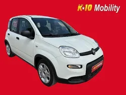 Blanco Usado 2023 Fiat Panda City Life Utilitario | 13.400 € (Un poco caro)