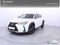 Blanco Usado 2023 Lexus UX 250h SUV | 28.475 € (Precio justo)