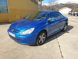 Azul Usado 2004 Peugeot 307 Utilitario | 3999 € (Caro)