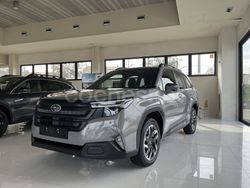 Gris Nuevo 2025 Subaru Forester Active SUV | 39.200 €