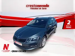 Usado 2019 Skoda Octavia Familiar | 14.009 €