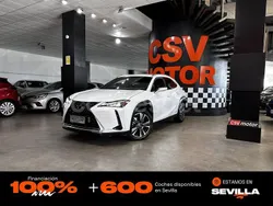 Blanco Usado 2020 Lexus UX Executive Line SUV | 20.850 € (Buen precio)