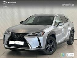 Blanco Usado 2024 Lexus UX 250h SUV | 33.155 € (Precio justo)