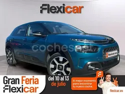 Azul Usado 2019 Citroën C4 Cactus PureTech Utilitario | 12.990 € (Un poco caro)