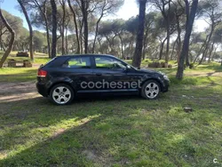 Negro Usado 2004 Audi A3 Attraction Berlina | 3800 € (Precio justo)