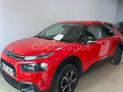 Rojo Usado 2020 Citroën C4 Cactus Feel Utilitario | 12.000 € (Precio justo)