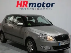 Usado 2010 Skoda Fabia | 4690 €