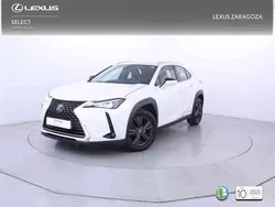 Blanco Usado 2021 Lexus UX 250h Business Edition SUV | 23.350 € (Buen precio)
